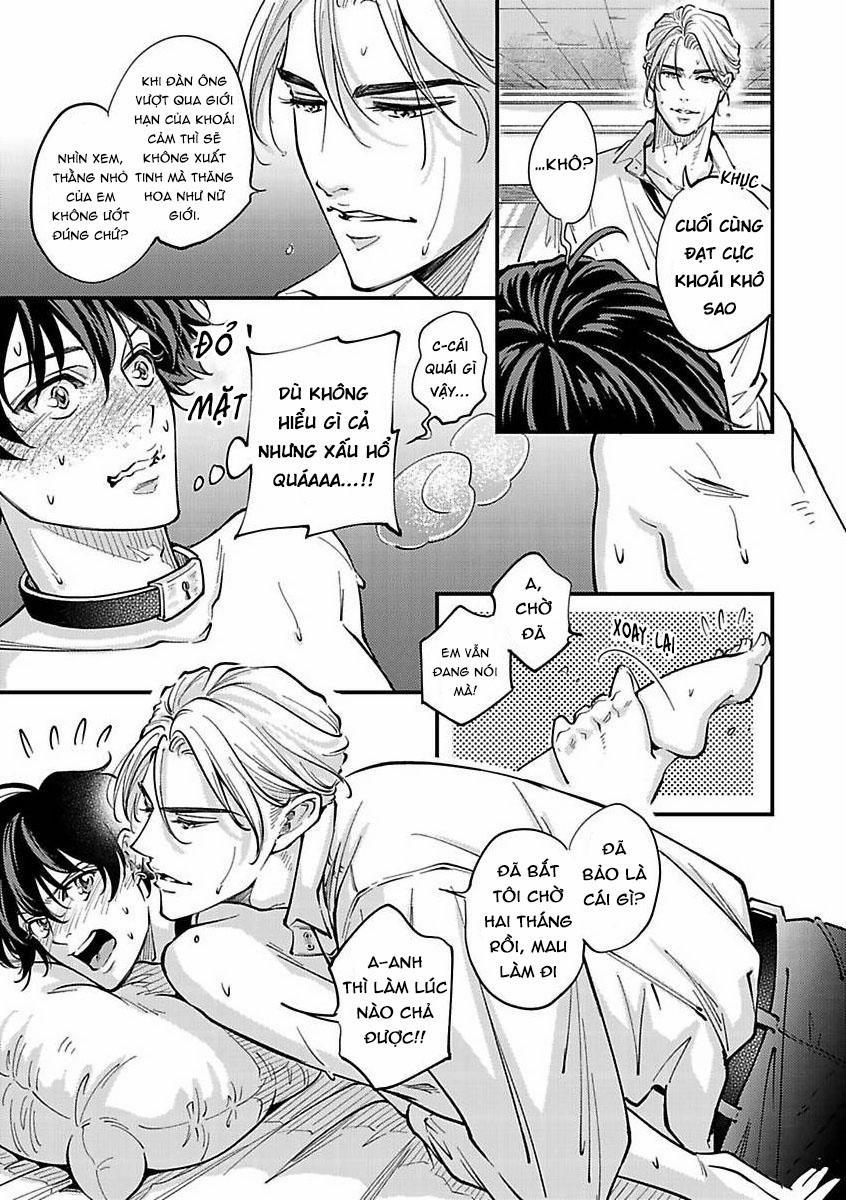 Được Đại Ca Yakuza Cưng Chiều 9 trang 18