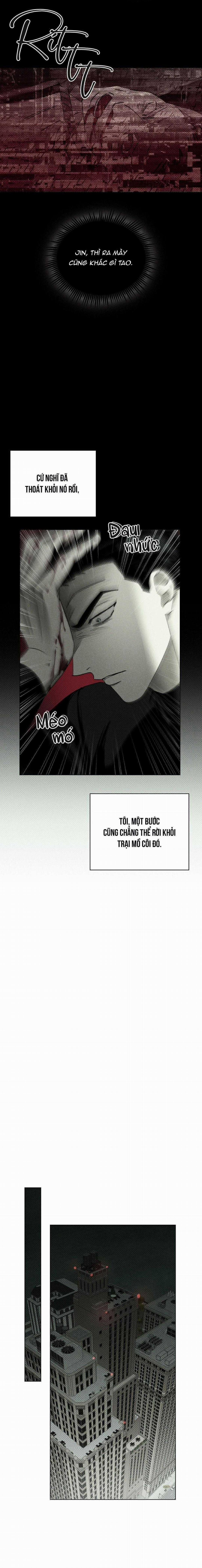 Dưới Ánh Đèn Xanh Ss2 3 trang 11