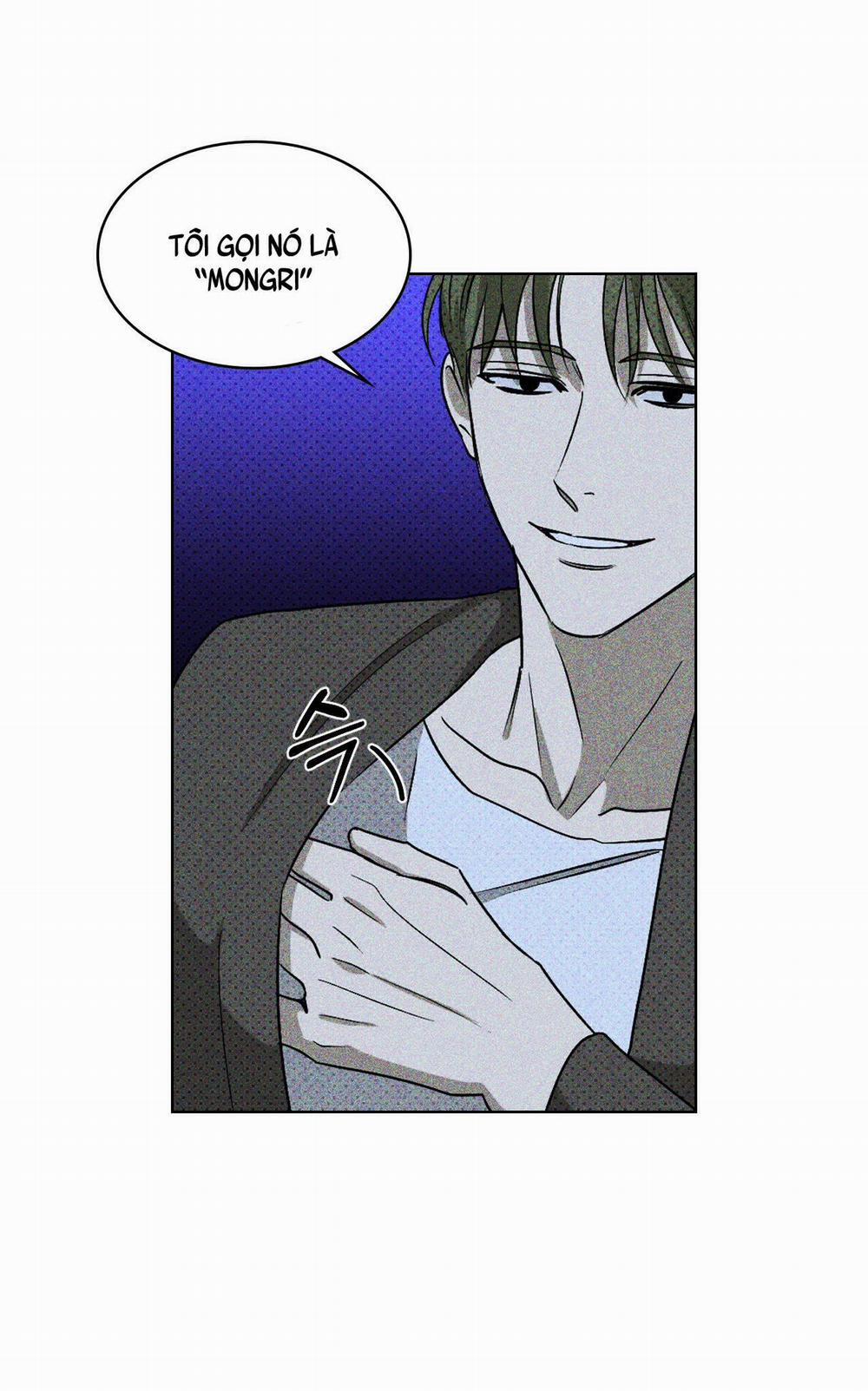 Dưới Ánh Đèn Xanh 11 trang 45