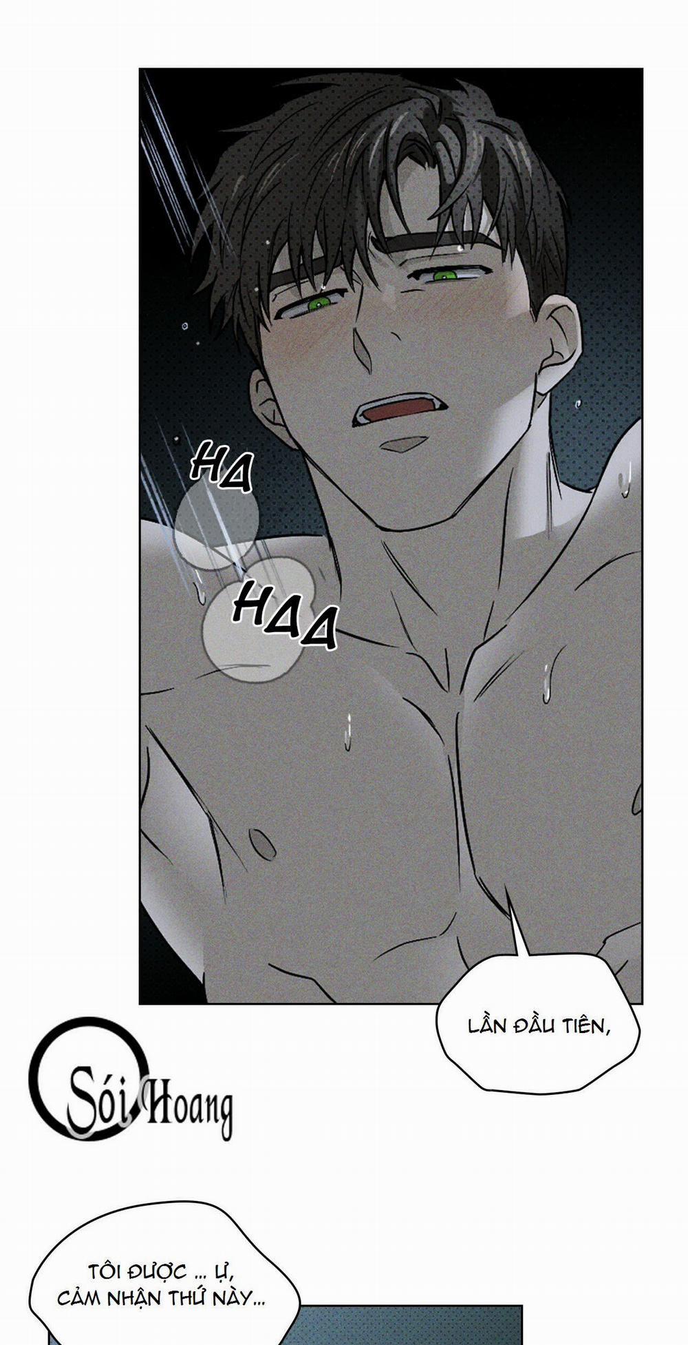 Dưới Ánh Đèn Xanh 15 trang 3