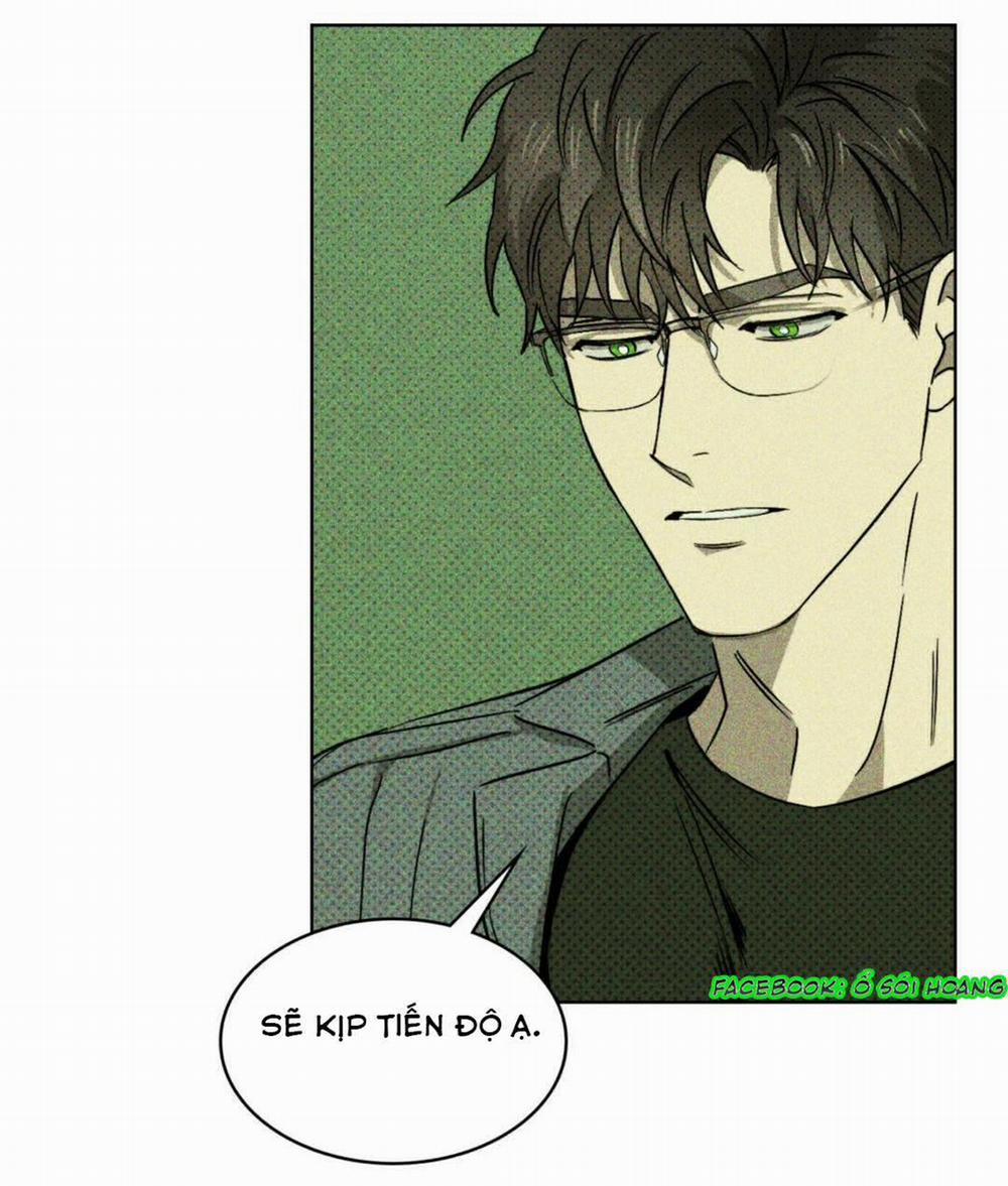 Dưới Ánh Đèn Xanh 4 trang 13