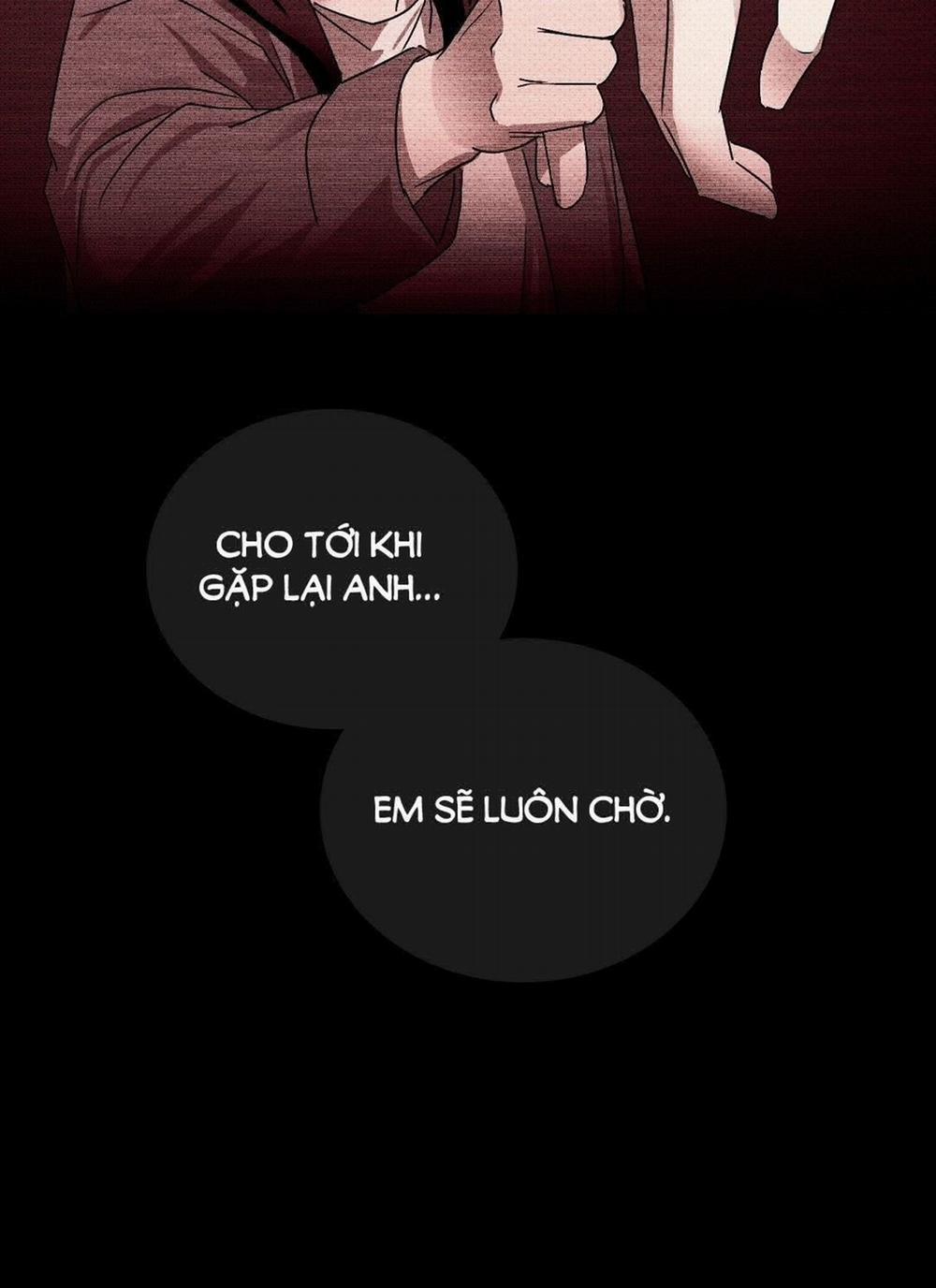 Dưới Ánh Đèn Xanh 40.2 trang 48