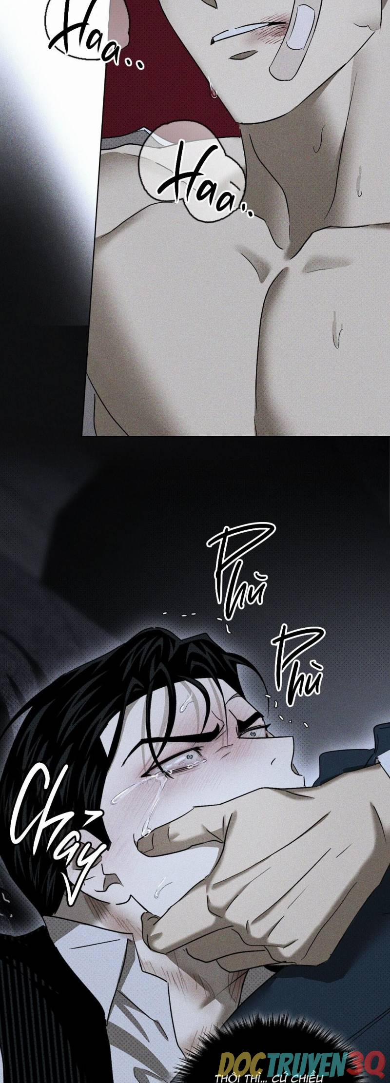 Dưới Ánh Đèn Xanh 48.5 trang 4