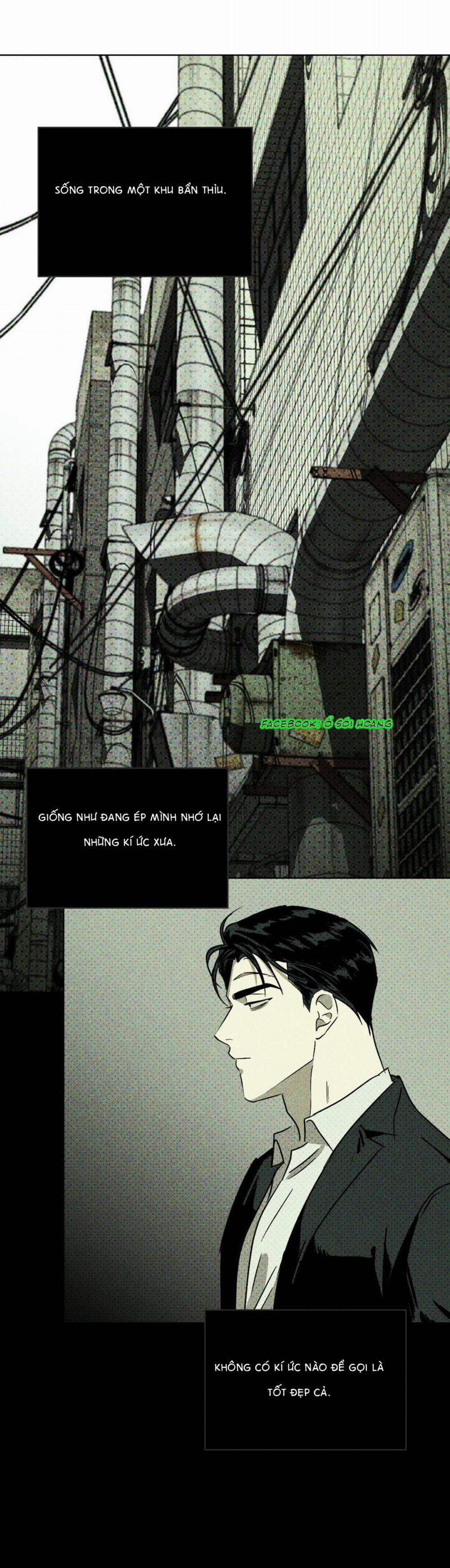 Dưới Ánh Đèn Xanh 5 trang 13