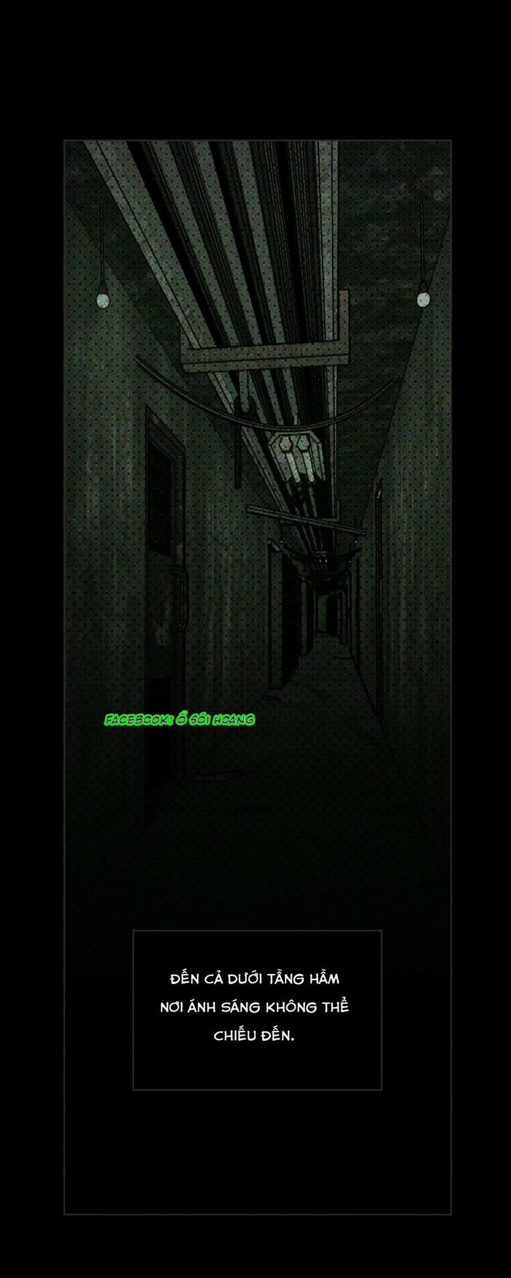 Dưới Ánh Đèn Xanh 5 trang 23