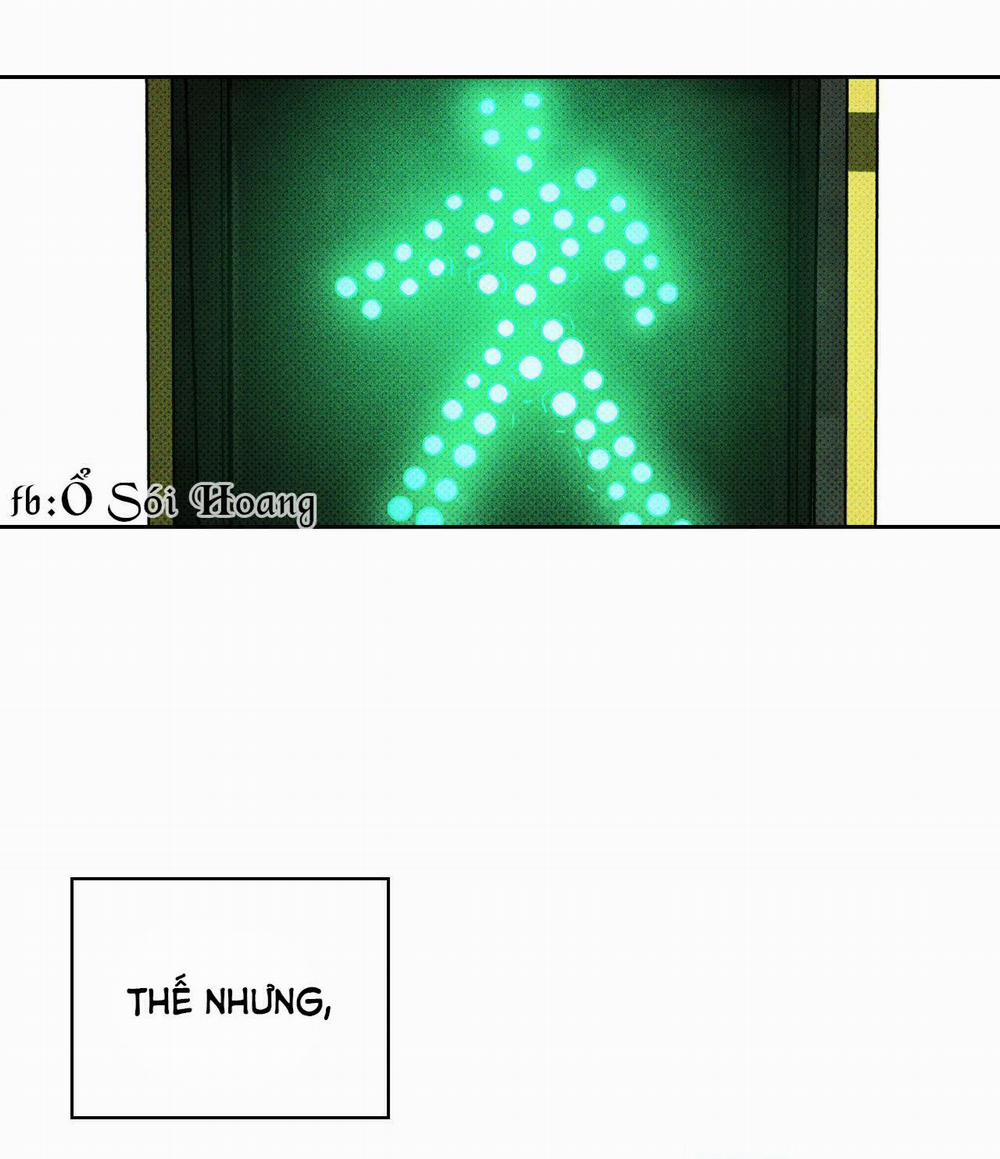 Dưới Ánh Đèn Xanh 8 trang 23