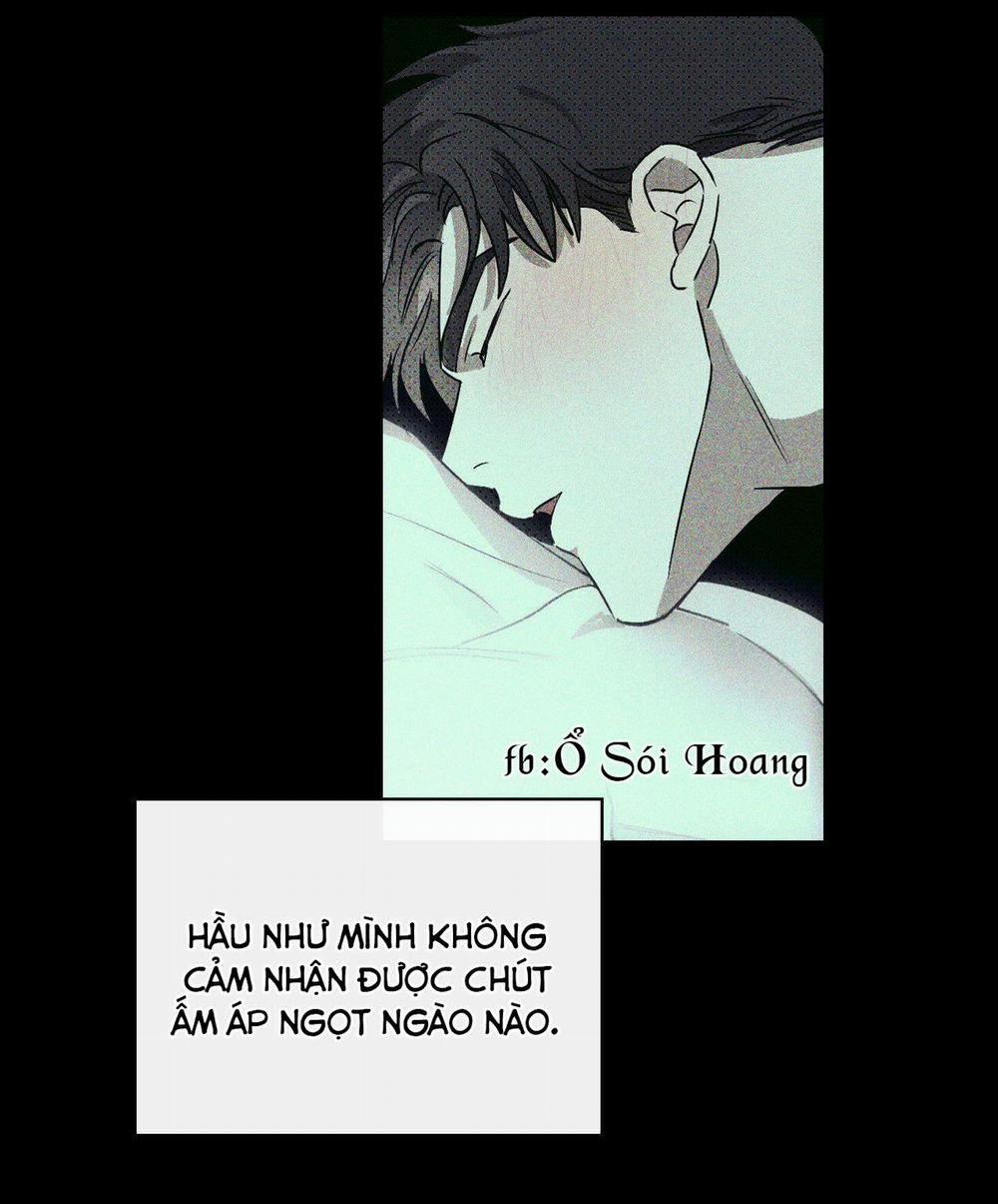 Dưới Ánh Đèn Xanh 8 trang 40