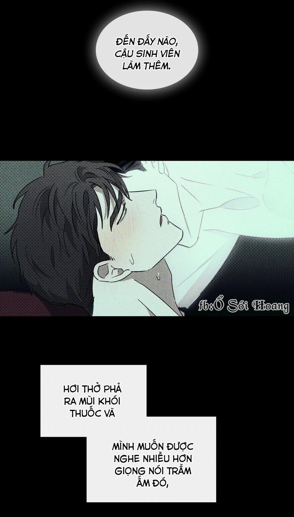 Dưới Ánh Đèn Xanh 8 trang 41