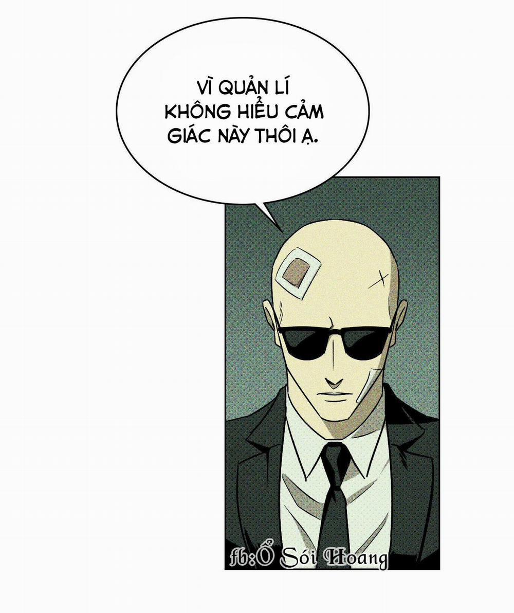 Dưới Ánh Đèn Xanh 9 trang 13