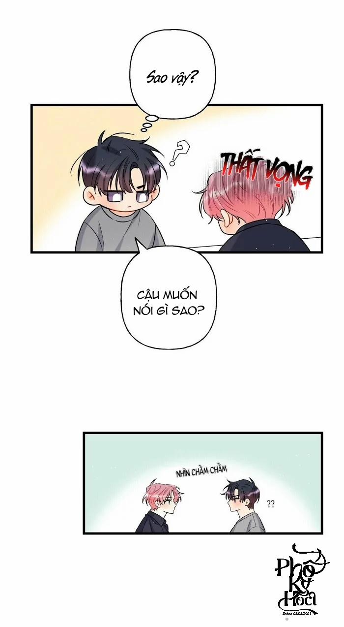 Dưới Ánh Hào Quang 7 trang 15