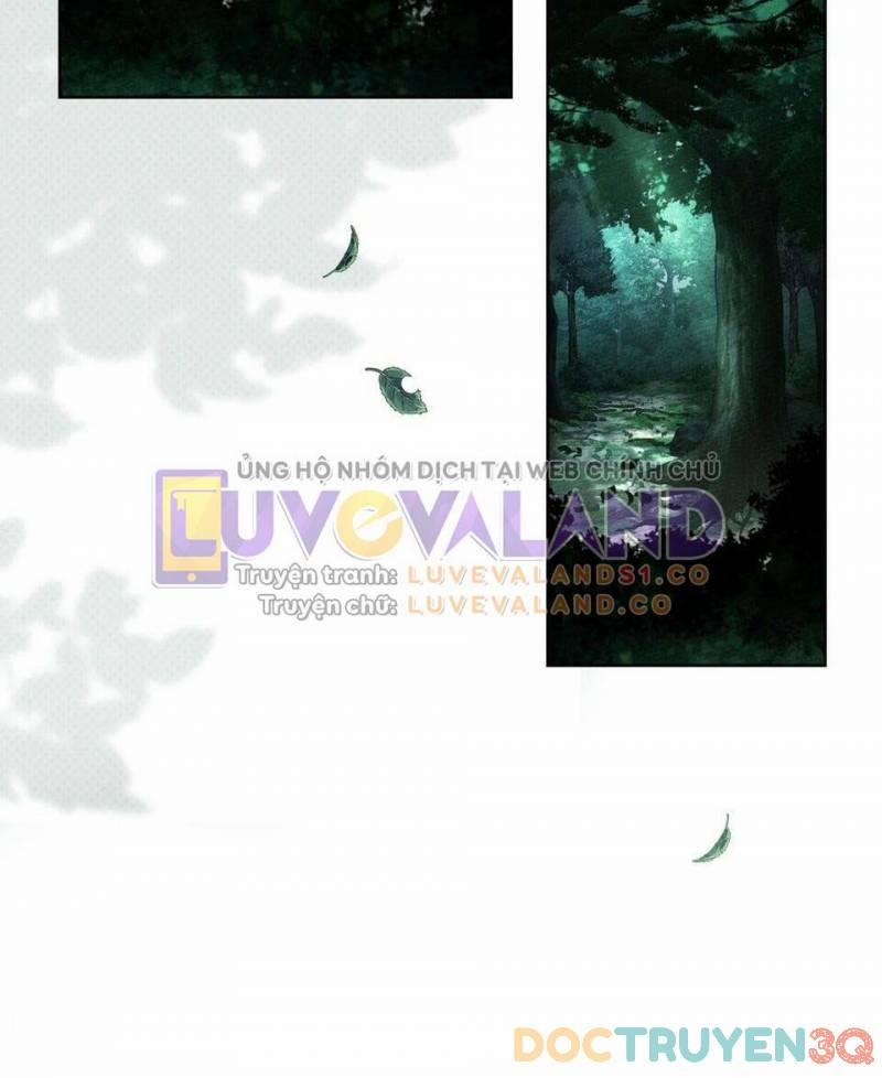 Dưới Bóng Cây Sồi 102 trang 20