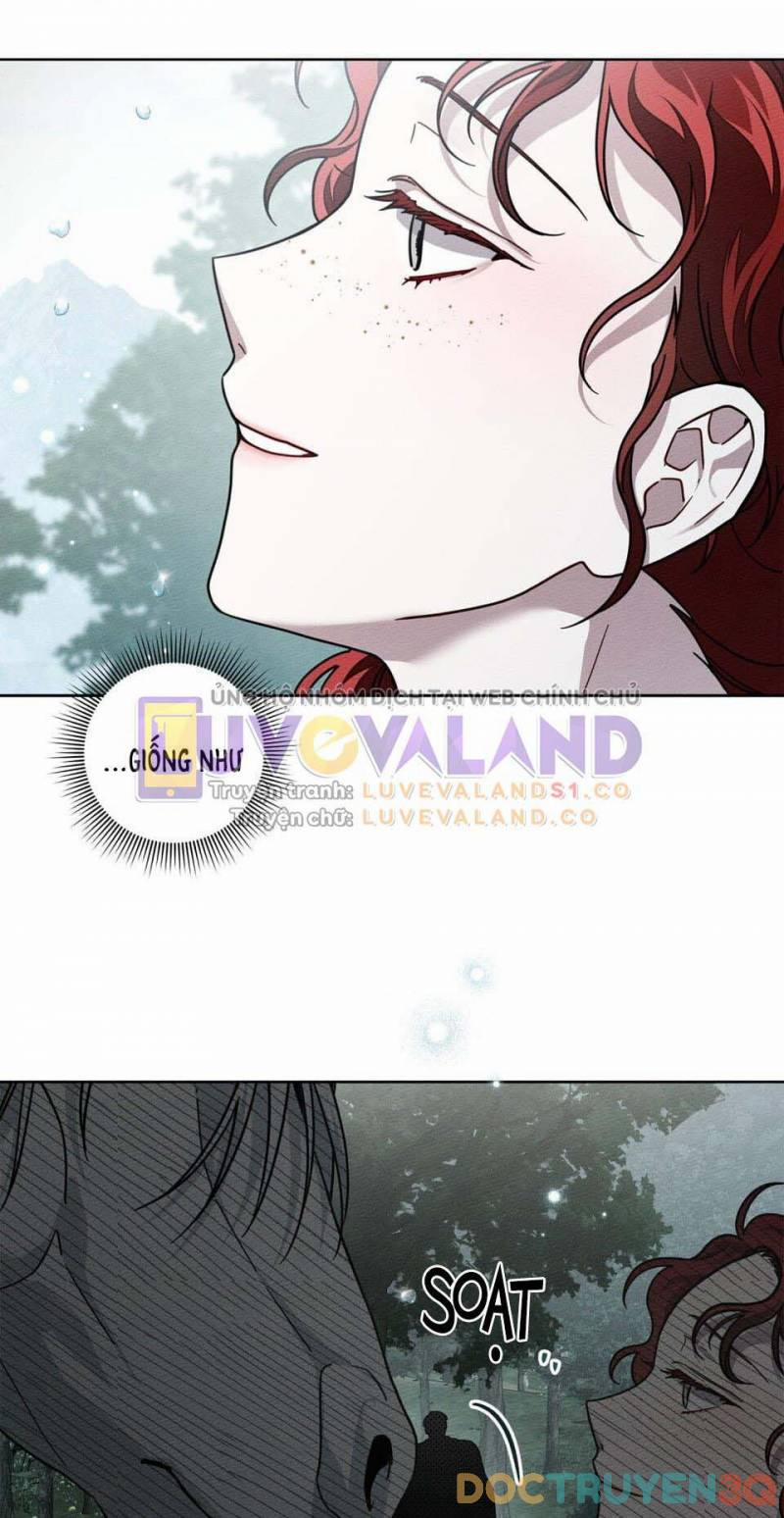 Dưới Bóng Cây Sồi 102 trang 41