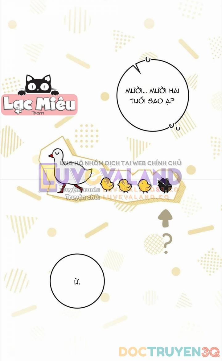 Dưới Bóng Cây Sồi 104 trang 28