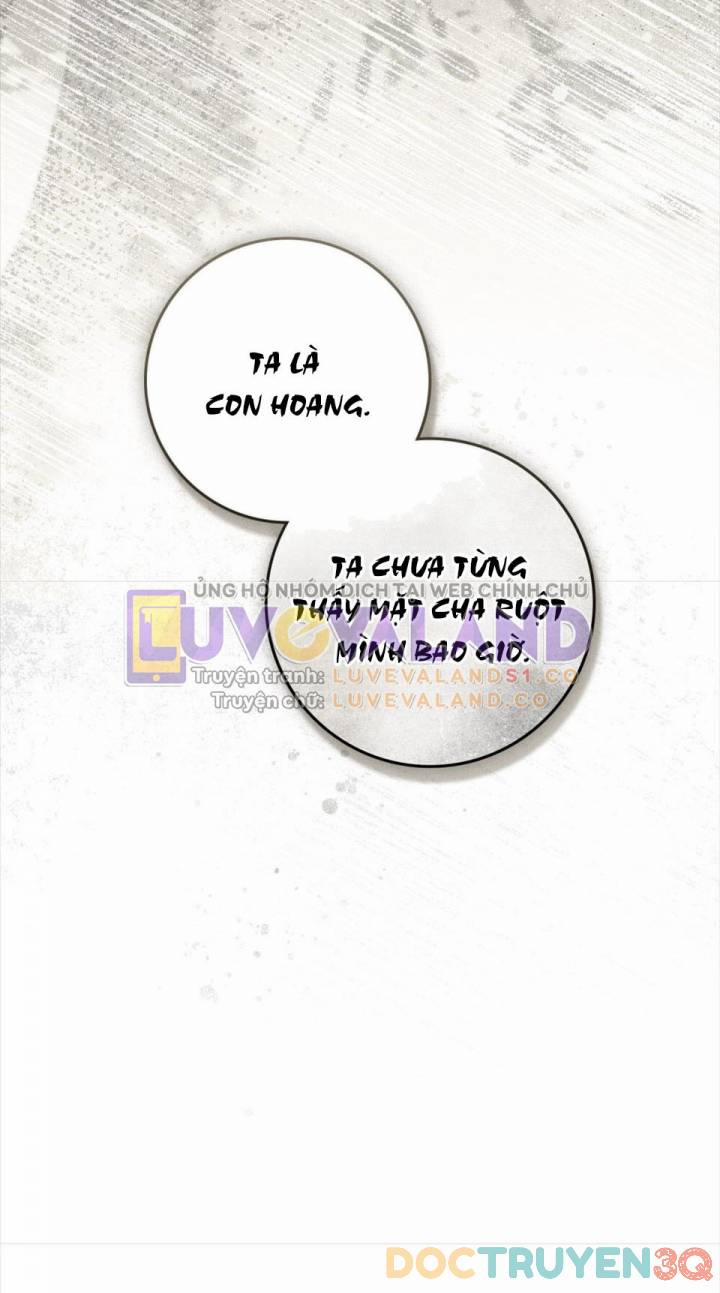 Dưới Bóng Cây Sồi 104 trang 36