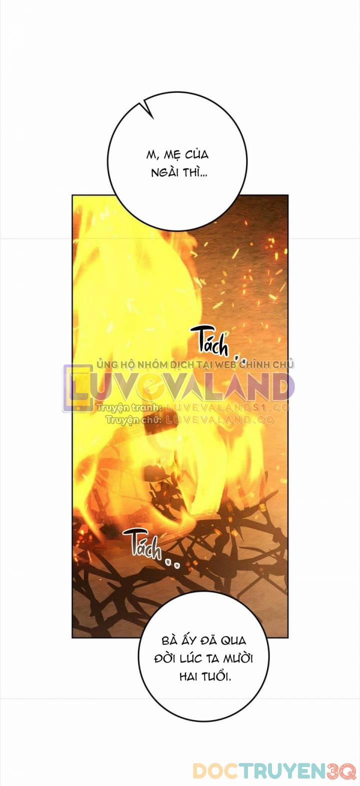 Dưới Bóng Cây Sồi 104 trang 40