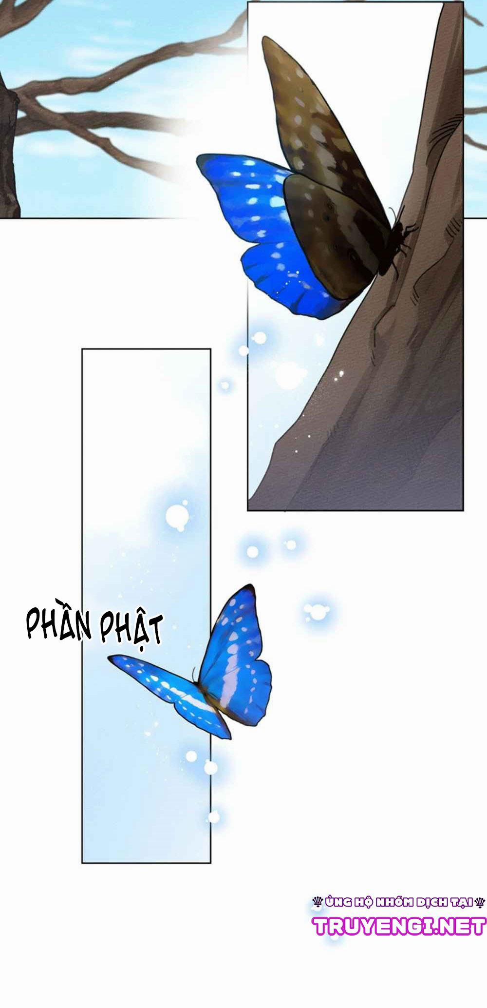 Dưới Bóng Cây Sồi 16 trang 2