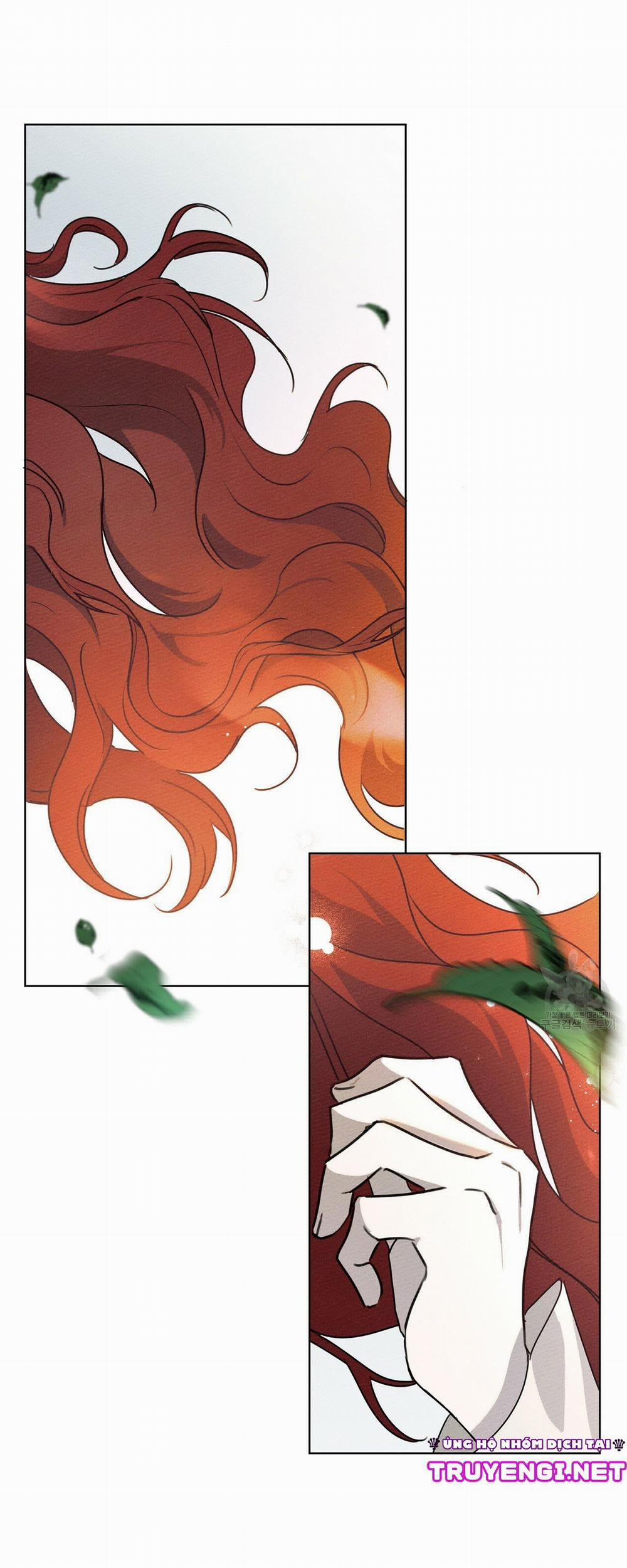 Dưới Bóng Cây Sồi 20 trang 29