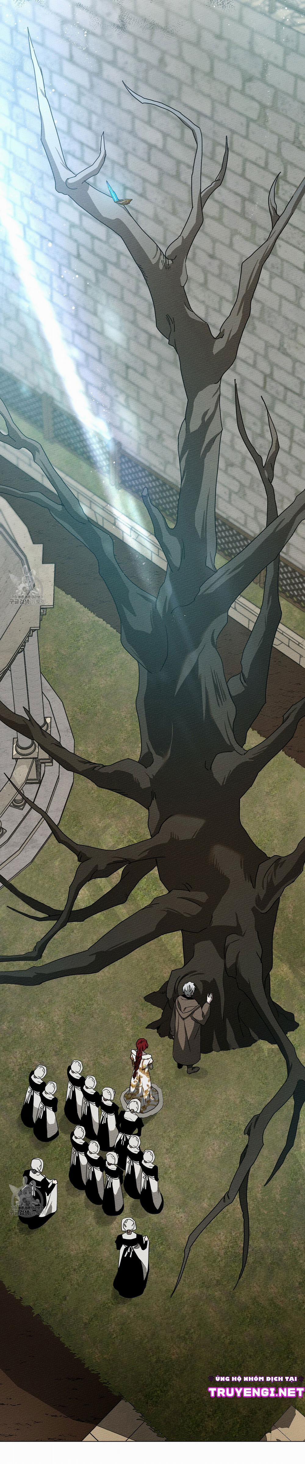 Dưới Bóng Cây Sồi 23 trang 3