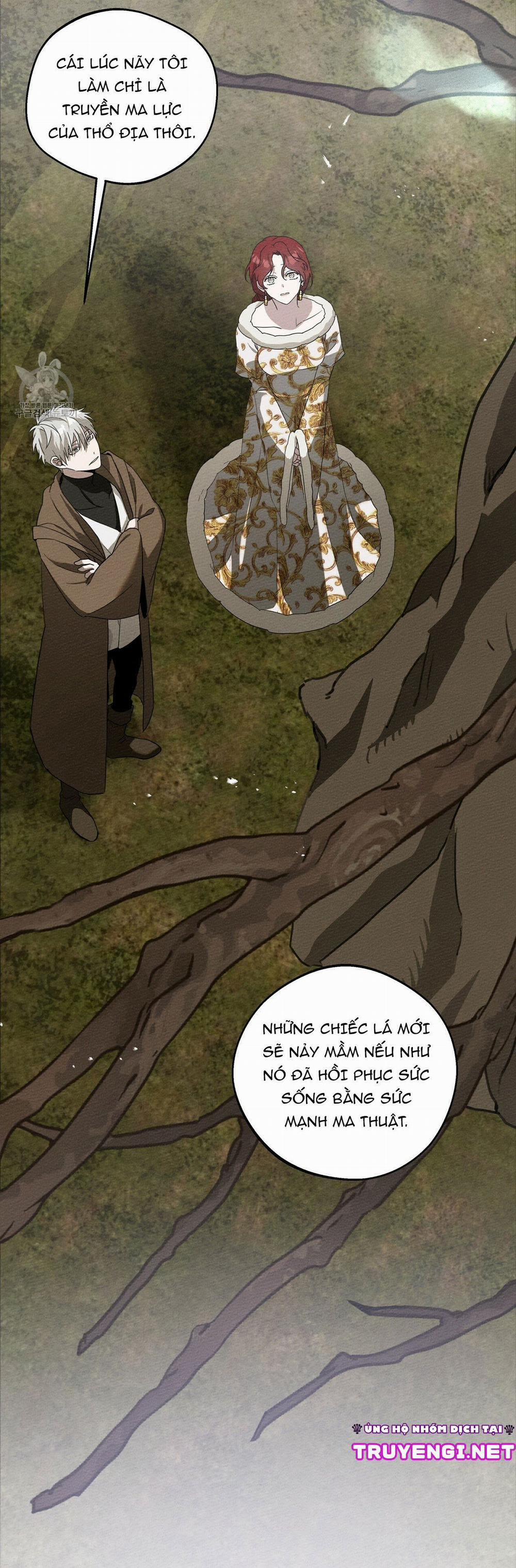 Dưới Bóng Cây Sồi 23 trang 53