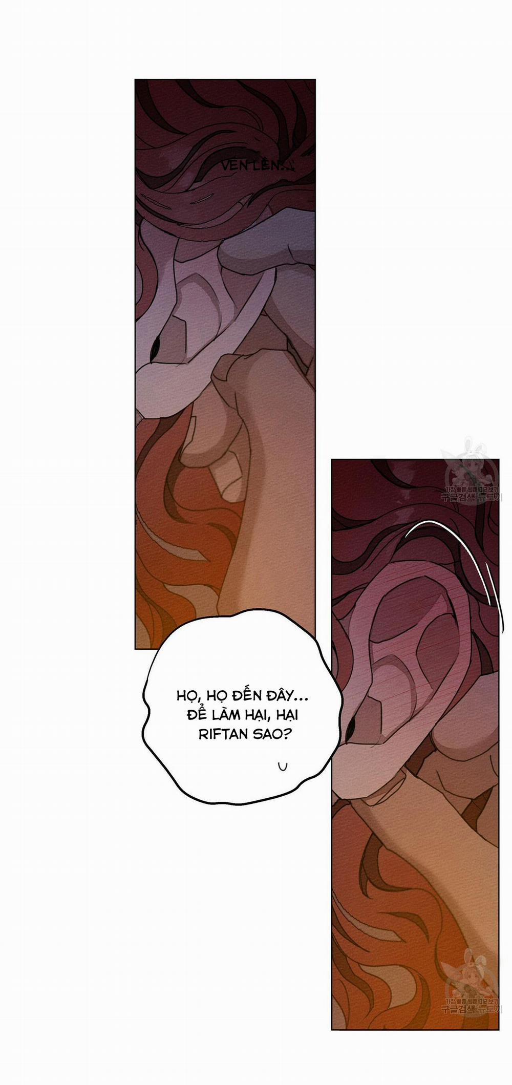 Dưới Bóng Cây Sồi 28 trang 15