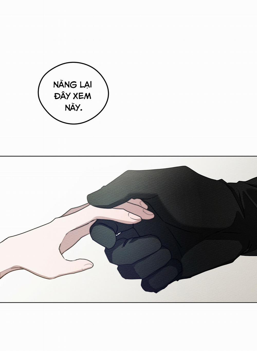 Dưới Bóng Cây Sồi 29 trang 42