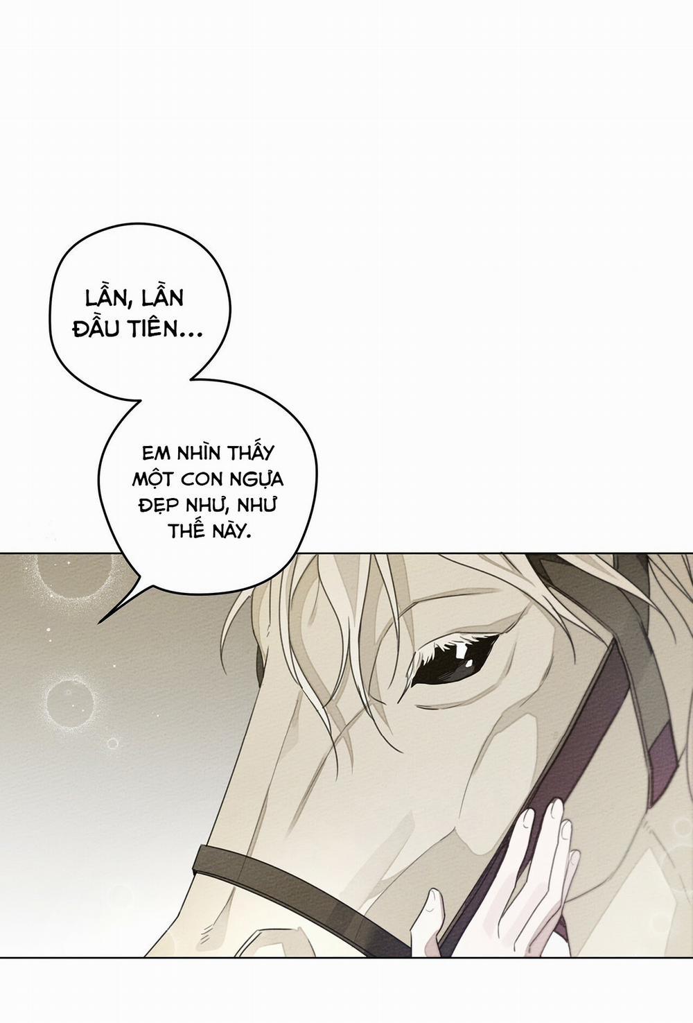 Dưới Bóng Cây Sồi 29 trang 47