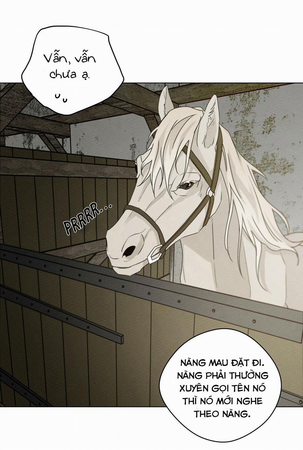 Dưới Bóng Cây Sồi 32 trang 40