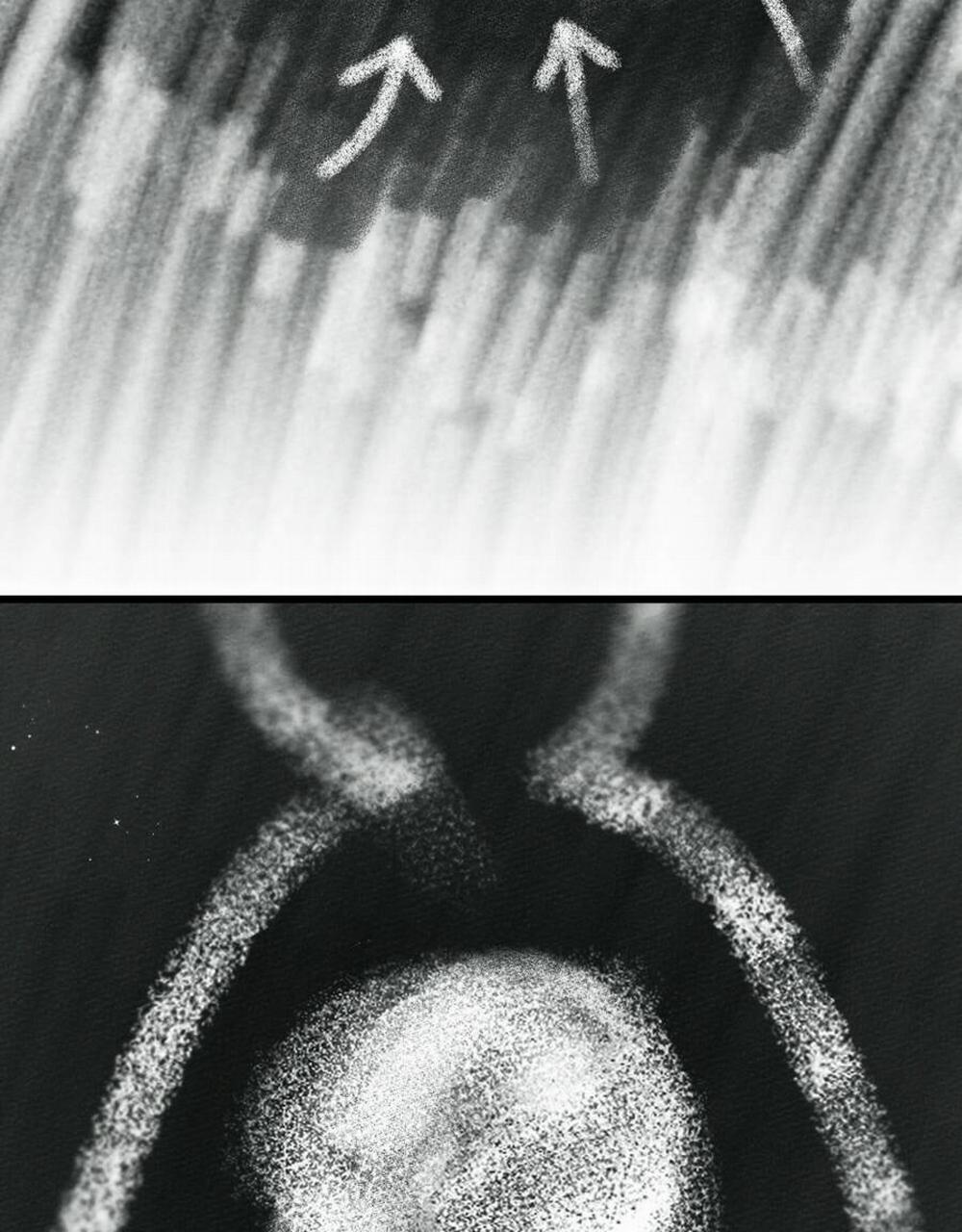 Dưới Bóng Cây Sồi 43.2 trang 25