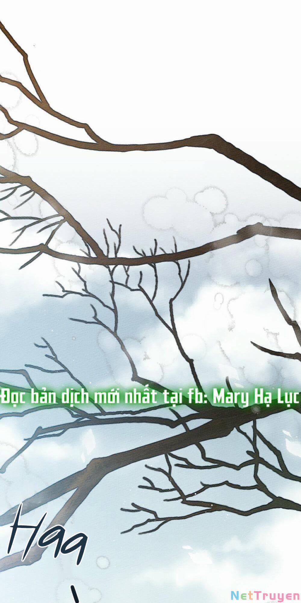 Dưới Bóng Cây Sồi 44.1 trang 26