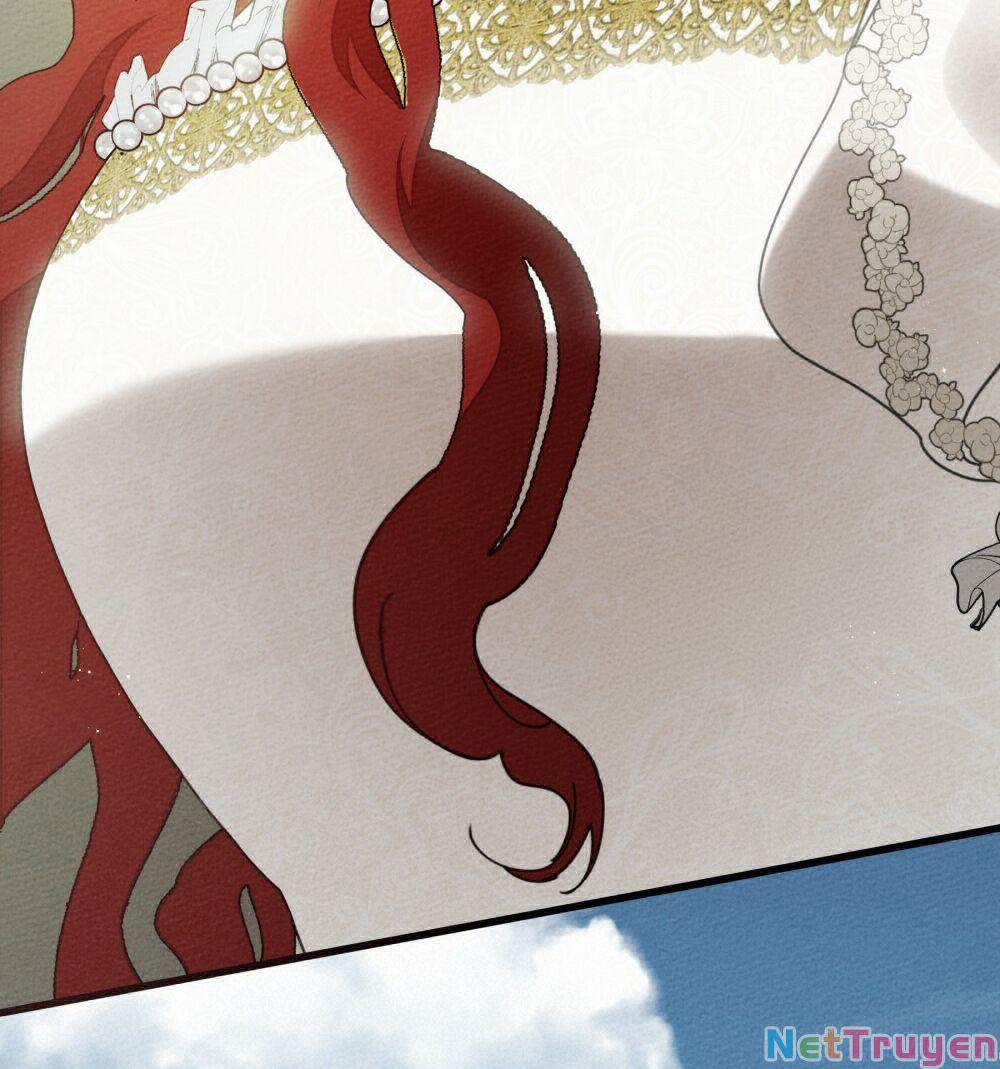 Dưới Bóng Cây Sồi 44.1 trang 65