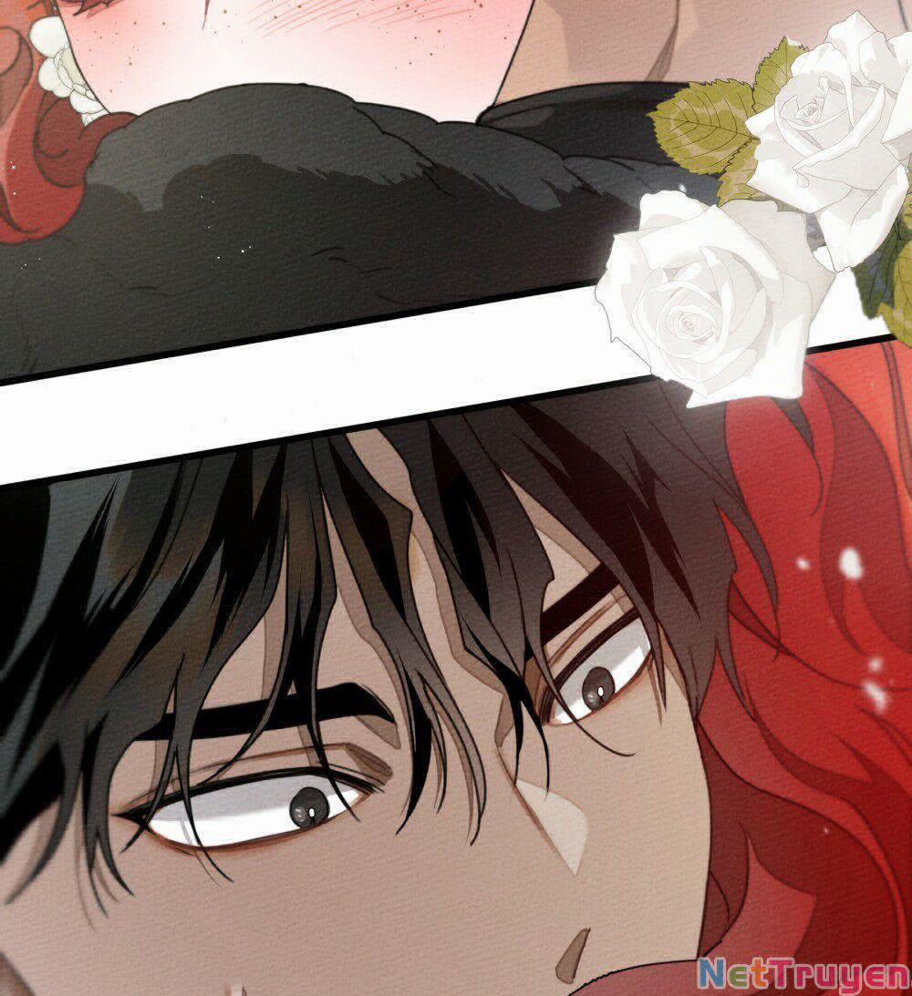 Dưới Bóng Cây Sồi 44.1 trang 78