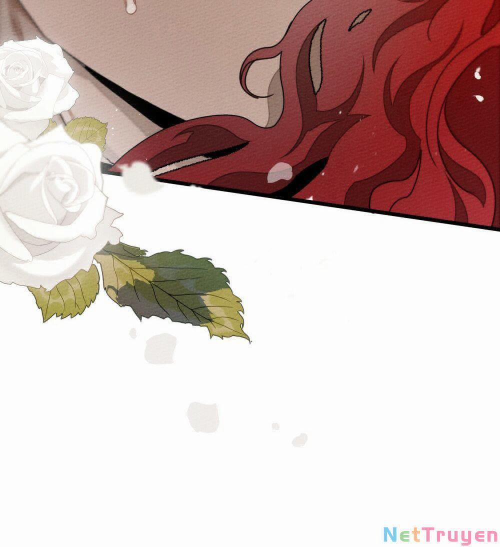 Dưới Bóng Cây Sồi 44.1 trang 79