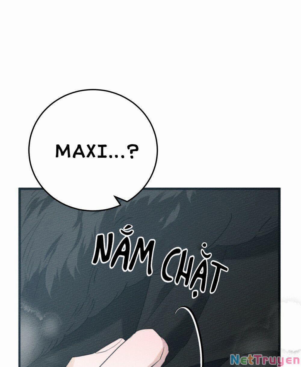 Dưới Bóng Cây Sồi 44.1 trang 81