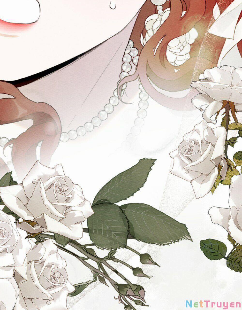 Dưới Bóng Cây Sồi 44.2 trang 5