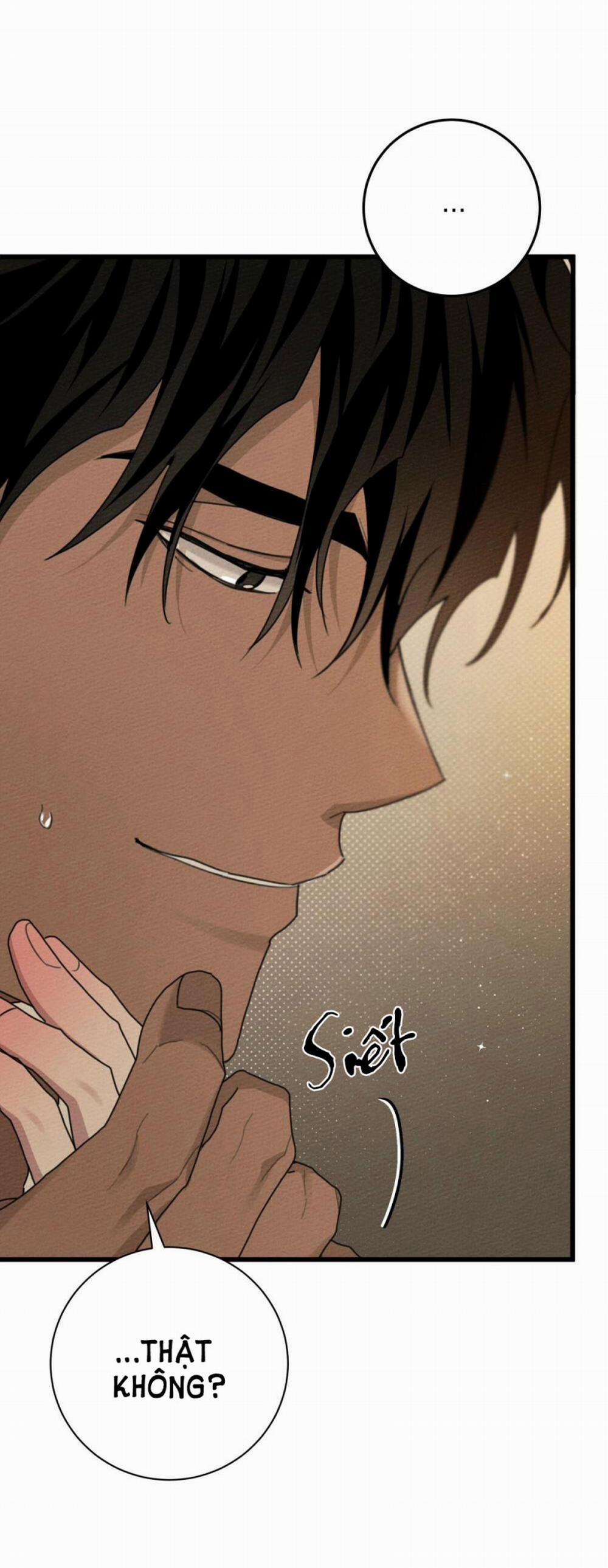 Dưới Bóng Cây Sồi 45 trang 23