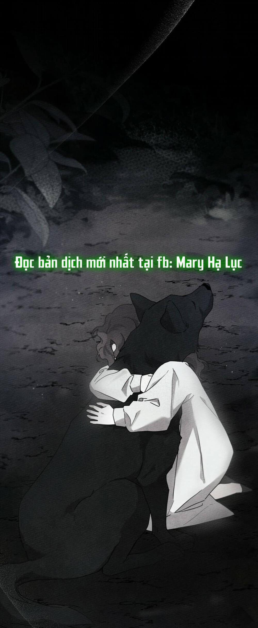 Dưới Bóng Cây Sồi 46.1 trang 41