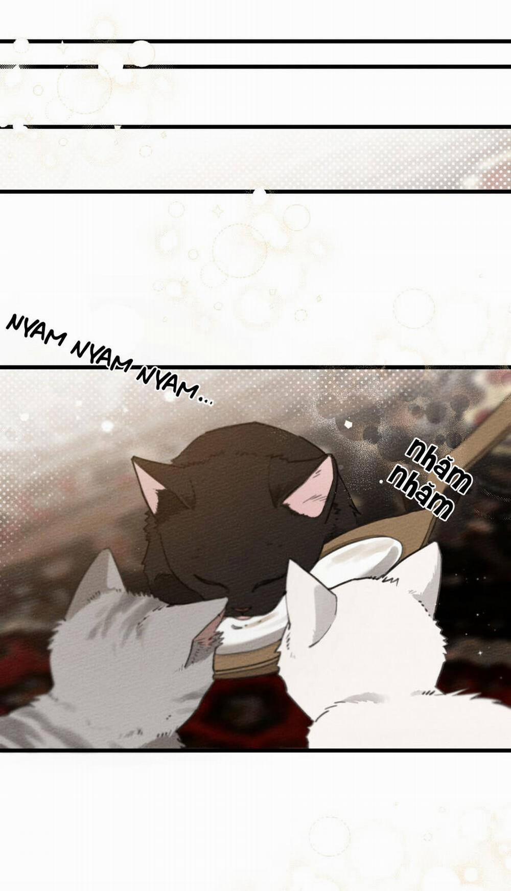 Dưới Bóng Cây Sồi 46.1 trang 57