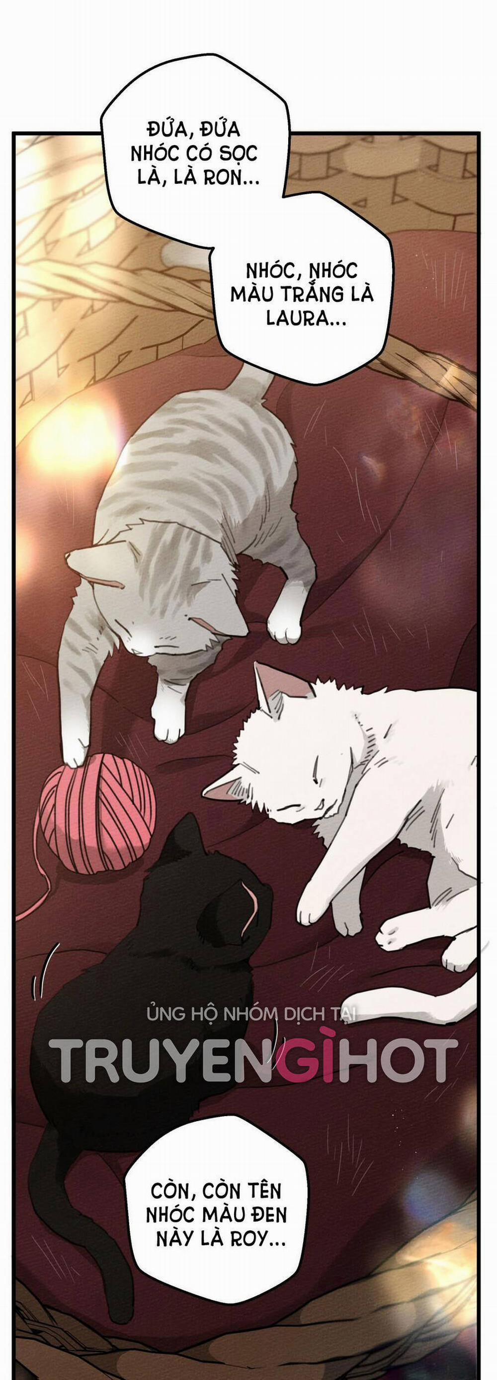 Dưới Bóng Cây Sồi 46.2 trang 8