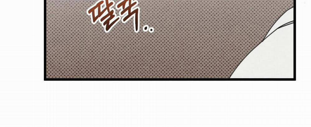 Dưới Bóng Cây Sồi 48.2 trang 27