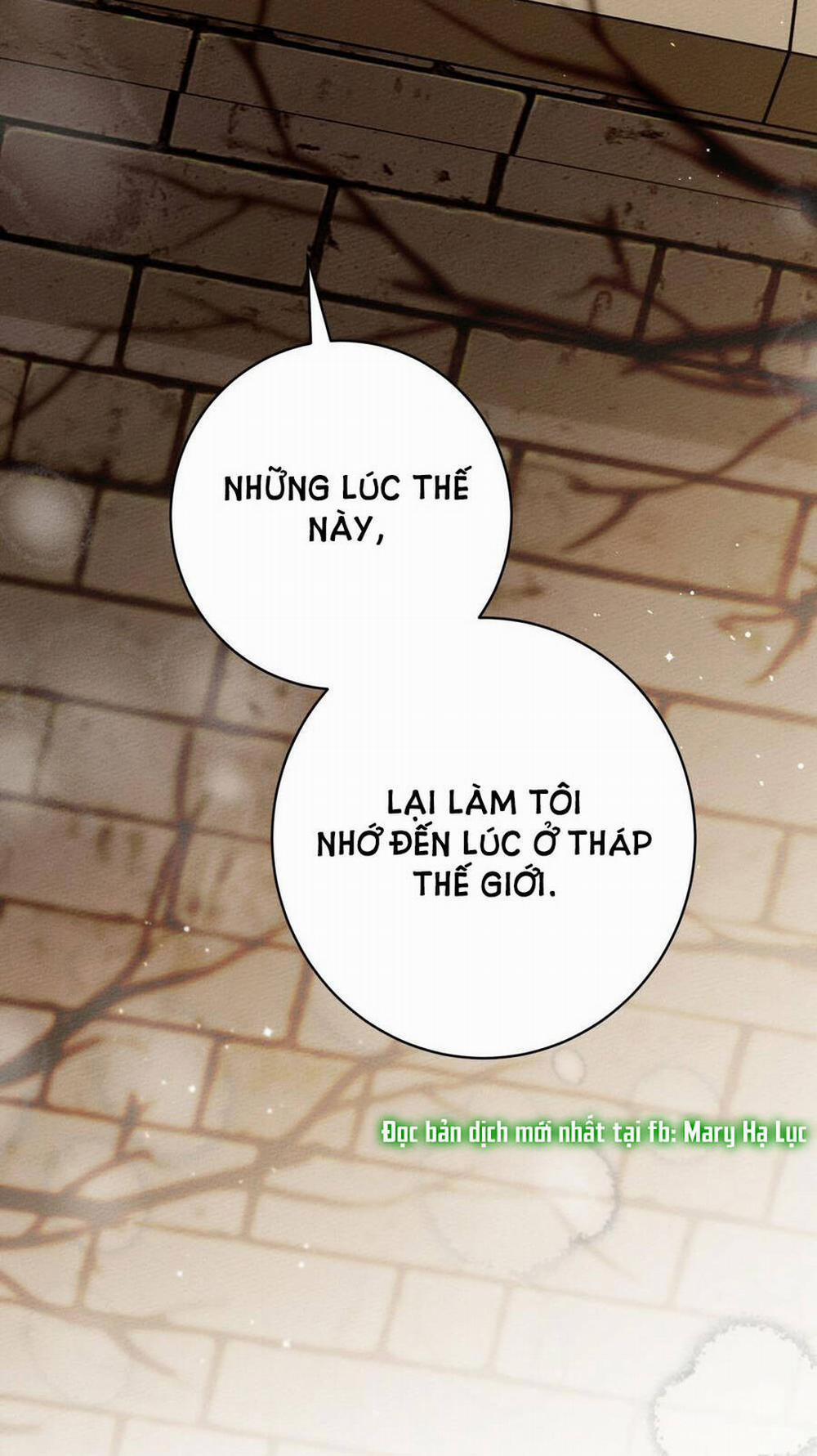 Dưới Bóng Cây Sồi 49.2 trang 56