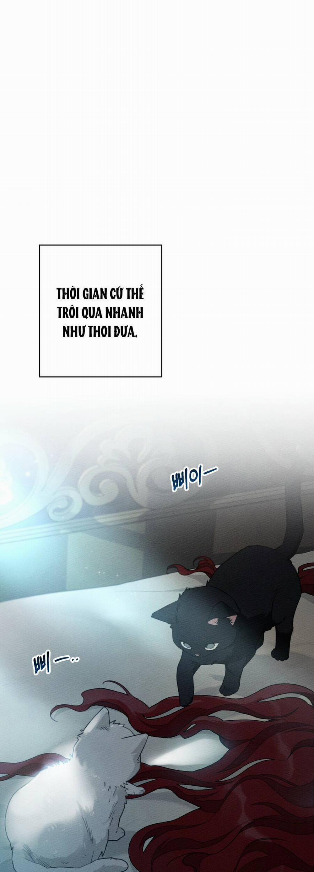 Dưới Bóng Cây Sồi 51.1 trang 31