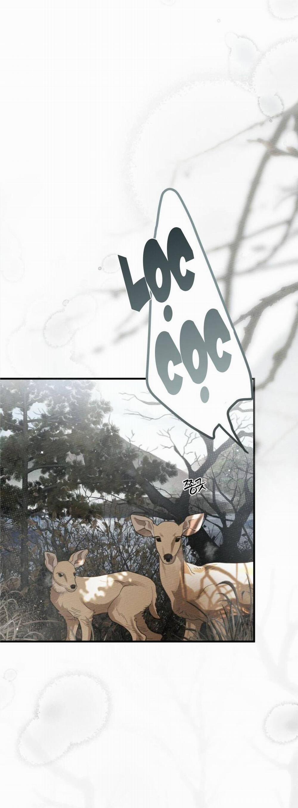 Dưới Bóng Cây Sồi 55.1 trang 32