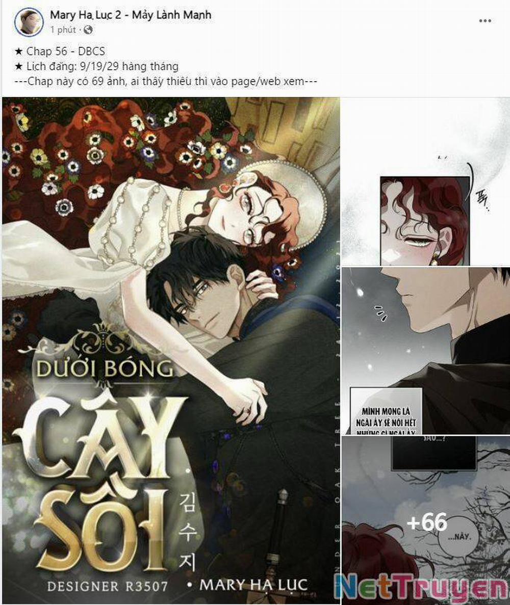 Dưới Bóng Cây Sồi 56.1 trang 19