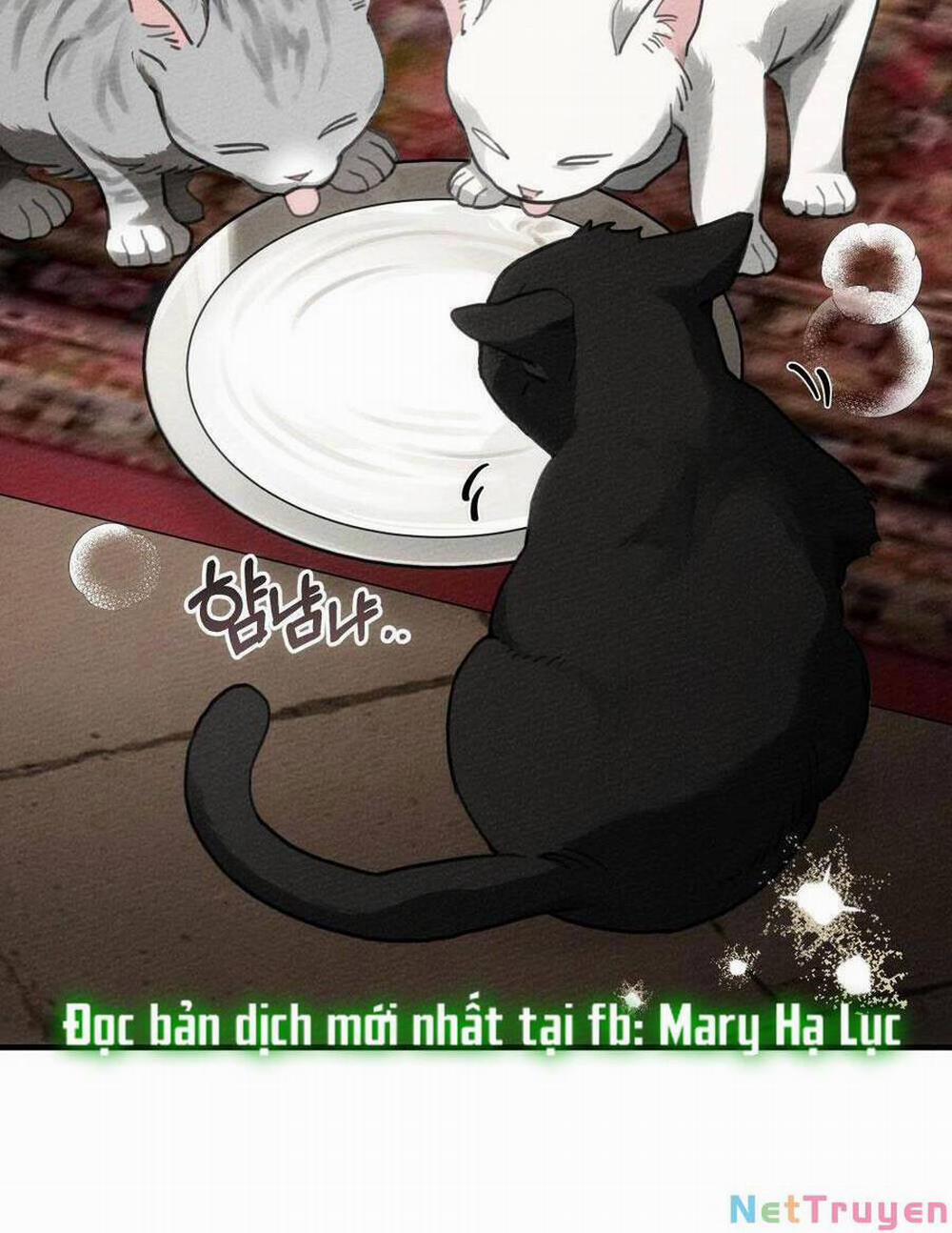 Dưới Bóng Cây Sồi 56.2 trang 46