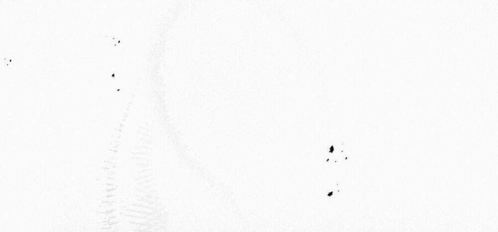 Dưới Bóng Cây Sồi 58.2 trang 43