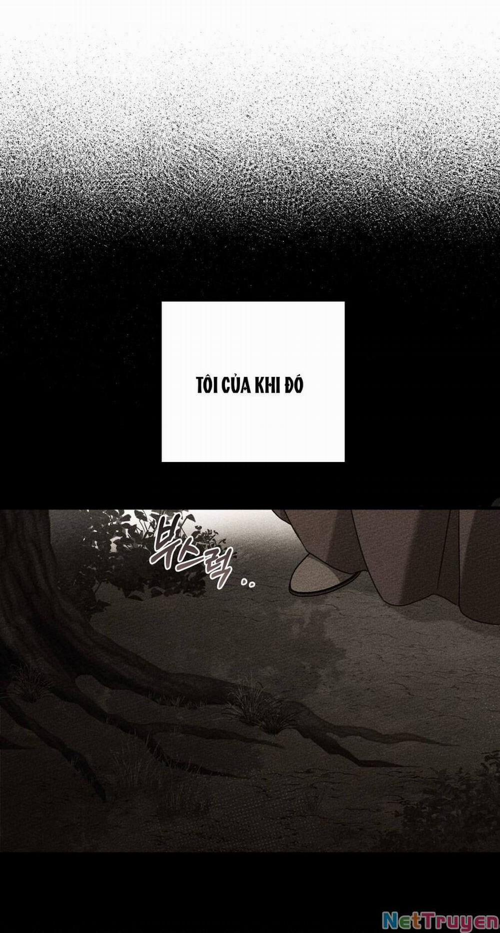 Dưới Bóng Cây Sồi 61.1 trang 11