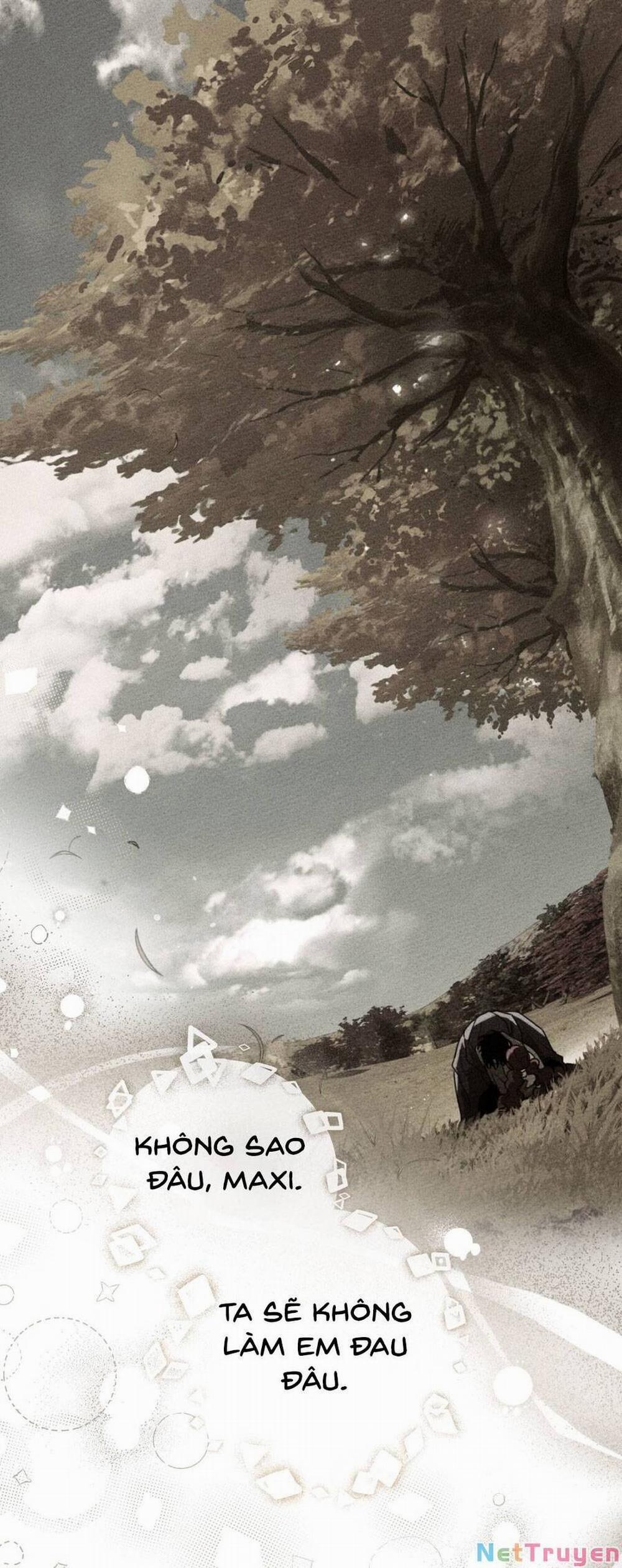 Dưới Bóng Cây Sồi 61.1 trang 24