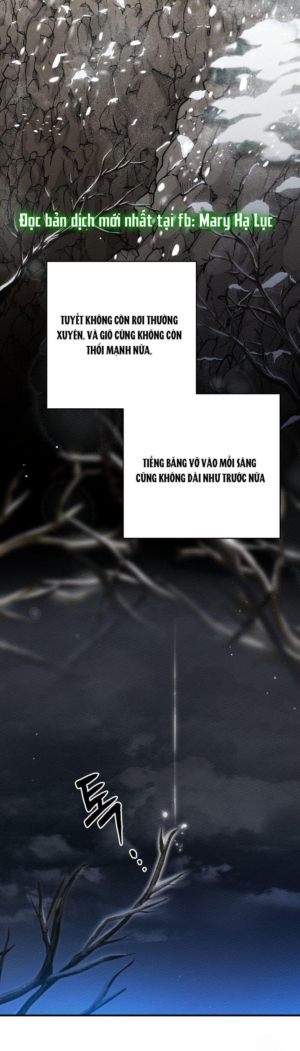 Dưới Bóng Cây Sồi 62.1 trang 17