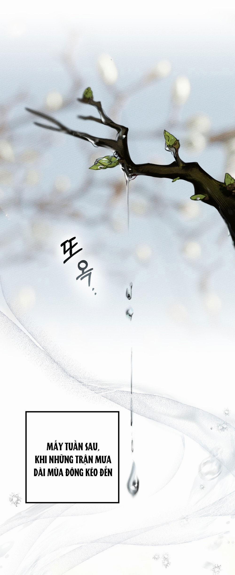 Dưới Bóng Cây Sồi 63.2 trang 28