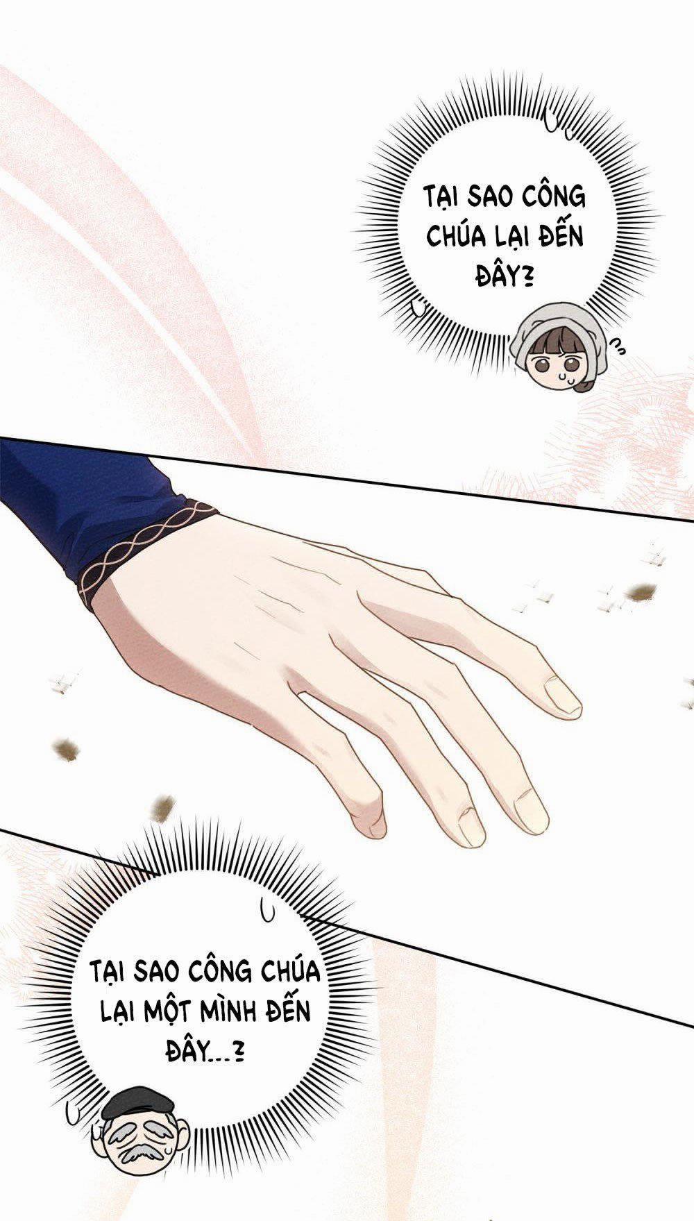 Dưới Bóng Cây Sồi 67.2 trang 0